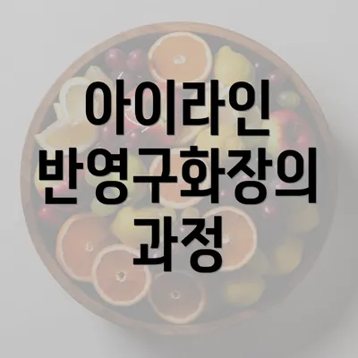 아이라인 반영구화장의 과정