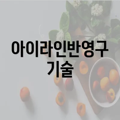 아이라인반영구 기술