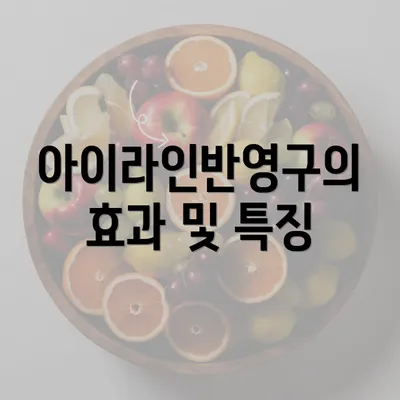 아이라인반영구의 효과 및 특징