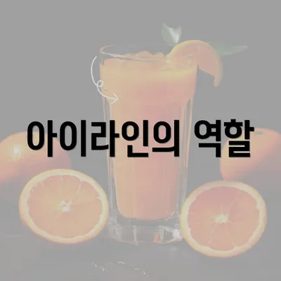 아이라인의 역할