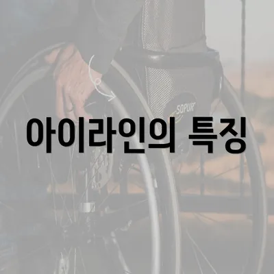 아이라인의 특징