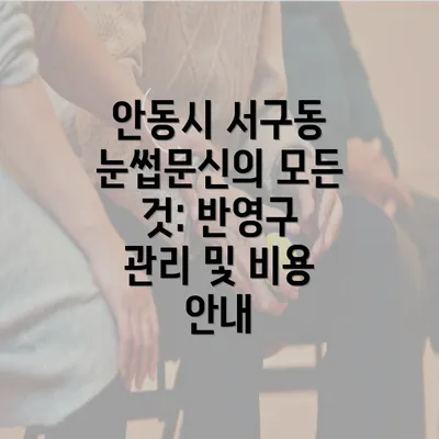 안동시 서구동 눈썹문신의 모든 것: 반영구 관리 및 비용 안내