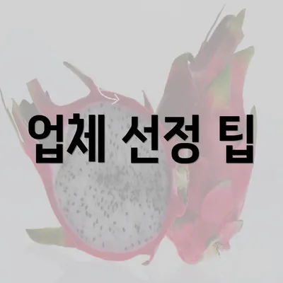 업체 선정 팁