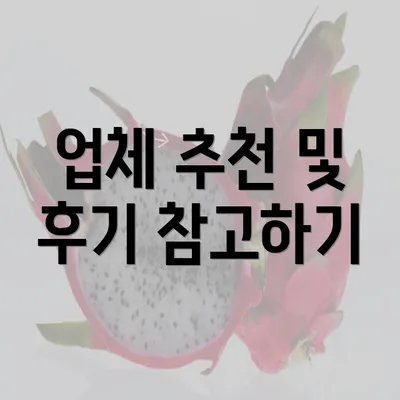 업체 추천 및 후기 참고하기