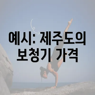 예시: 제주도의 보청기 가격