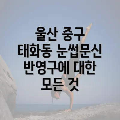 울산 중구 태화동 눈썹문신 반영구의 개념