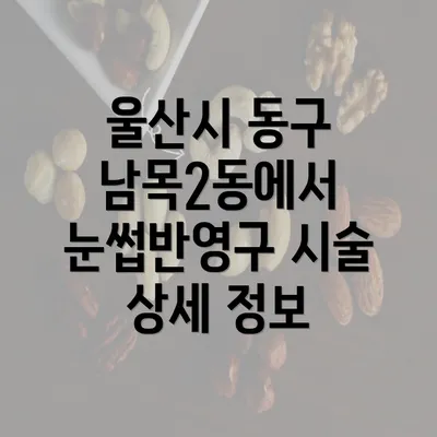 울산시 동구 남목2동에서 눈썹반영구 시술 상세 정보