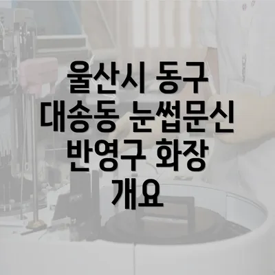 울산시 동구 대송동 눈썹문신 반영구 완벽 가이드