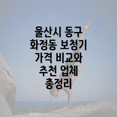 울산시 동구 화정동 보청기 가격 비교와 추천 업체 총정리