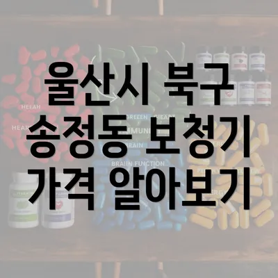 울산시 북구 송정동 보청기 가격 비교 및 추천 업체 안내