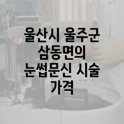 울산시 울주군 삼동면의 눈썹문신 시술 가격