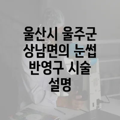 울산시 울주군 상남면의 눈썹 반영구 시술 설명