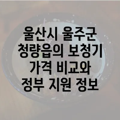 울산시 울주군 청량읍의 보청기 가격 비교와 정부 지원 정보