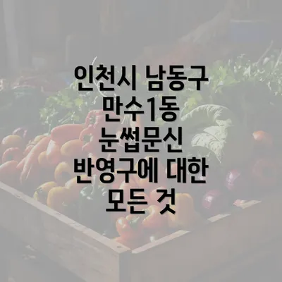 인천시 남동구 만수1동 눈썹문신 반영구에 대한 모든 것