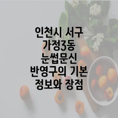 인천시 서구 가정3동 눈썹문신 반영구의 기본 정보와 장점