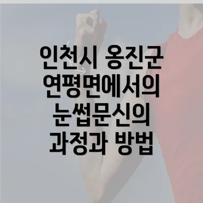 인천시 옹진군 연평면에서의 눈썹문신의 과정과 방법