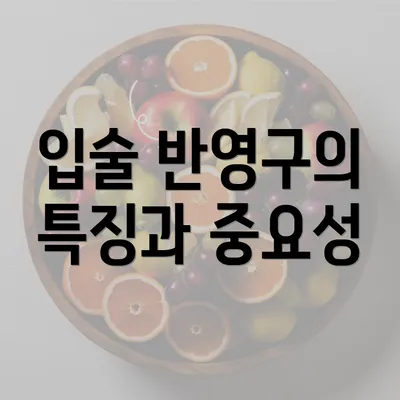 입술 반영구의 특징과 중요성