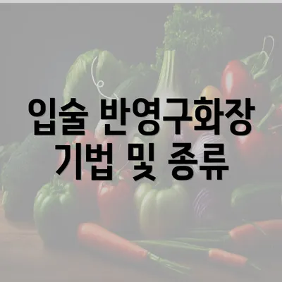 입술 반영구화장 기법 및 종류