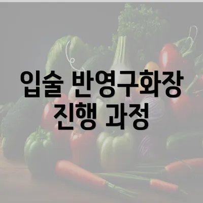 입술 반영구화장 진행 과정