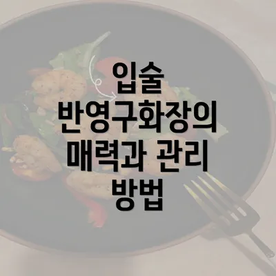 입술 반영구화장의 매력과 관리 방법