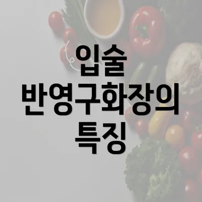 입술 반영구화장의 특징