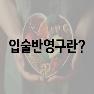 입술반영구란?