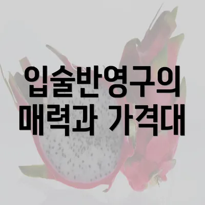 입술반영구의 매력과 가격대