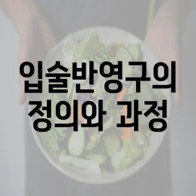 입술반영구의 정의와 과정