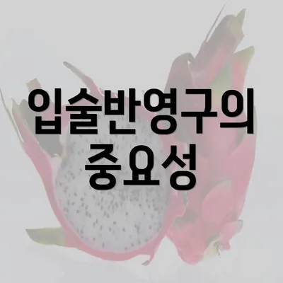 입술반영구의 중요성