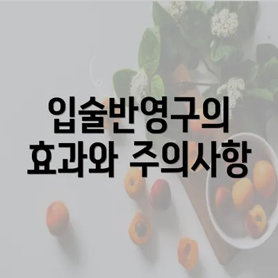 입술반영구의 효과와 주의사항