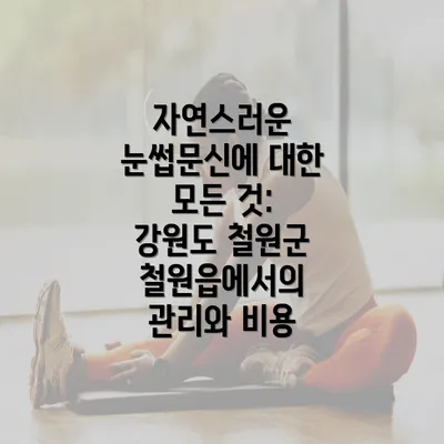 자연스러운 눈썹문신에 대한 모든 것: 강원도 철원군 철원읍에서의 관리와 비용