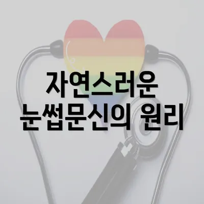 자연스러운 눈썹문신의 원리