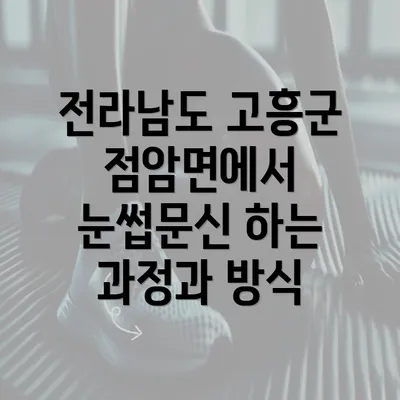 전라남도 고흥군 점암면에서 눈썹문신 하는 과정과 방식