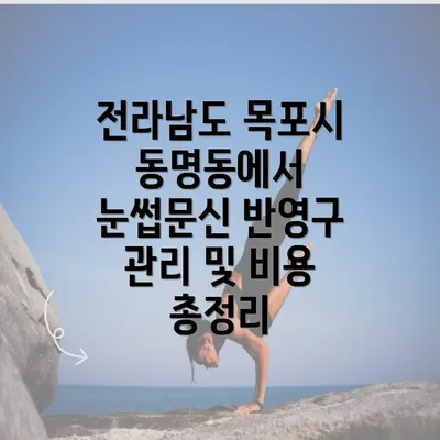 전라남도 목포시 동명동에서 눈썹문신 반영구 관리 및 비용 총정리