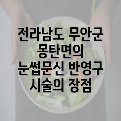 전라남도 무안군 몽탄면의 눈썹문신 반영구 시술의 장점