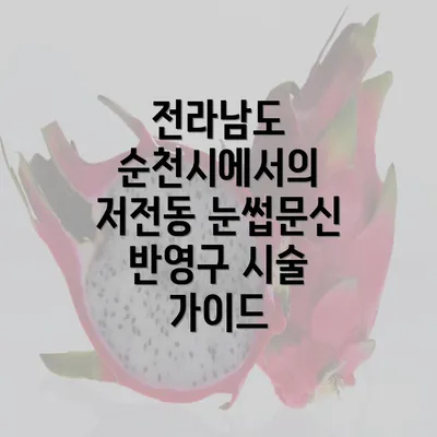 전라남도 순천시에서의 저전동 눈썹문신 반영구 시술 가이드