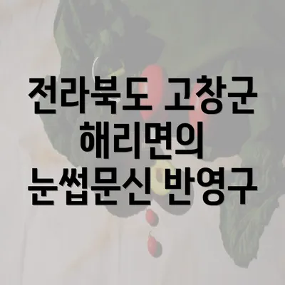 전라북도 고창군 해리면의 눈썹문신 반영구