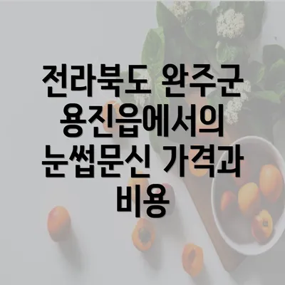 전라북도 완주군 용진읍에서의 눈썹문신 가격과 비용