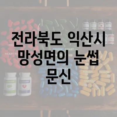 전라북도 익산시 망성면의 눈썹 문신