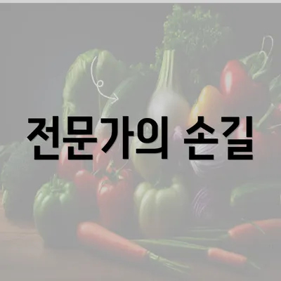 전문가의 손길