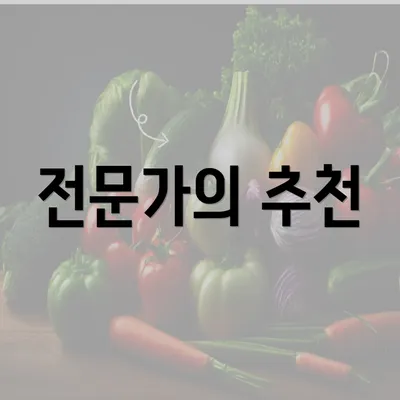 전문가의 추천