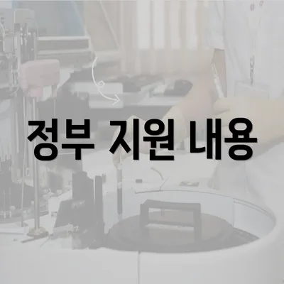 정부 지원 내용