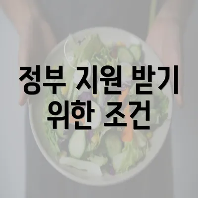 정부 지원 받기 위한 조건