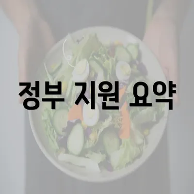 정부 지원 요약