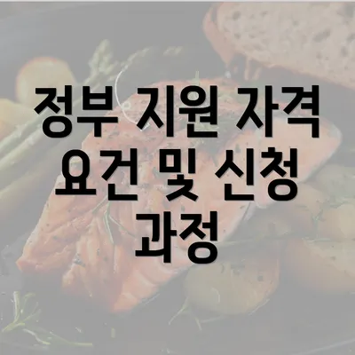 정부 지원 자격 요건 및 신청 과정