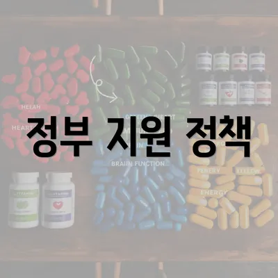 정부 지원 정책