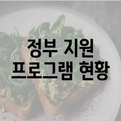 정부 지원 프로그램 현황