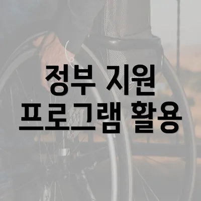 정부 지원 프로그램 활용