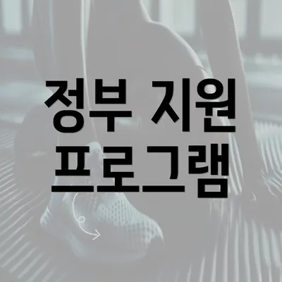 정부 지원 프로그램