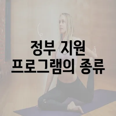 정부 지원 프로그램의 종류